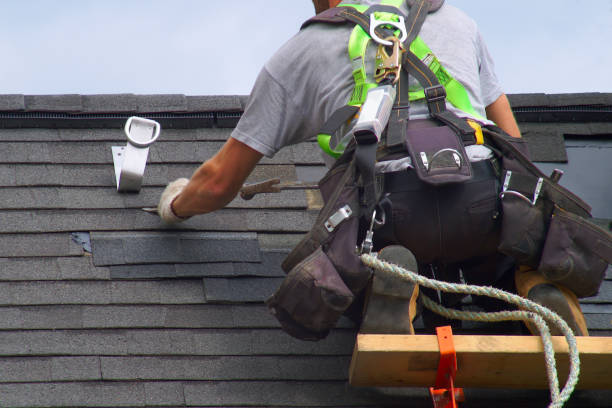 Best Roof Gutter Cleaning  in Pryor Creek, OK