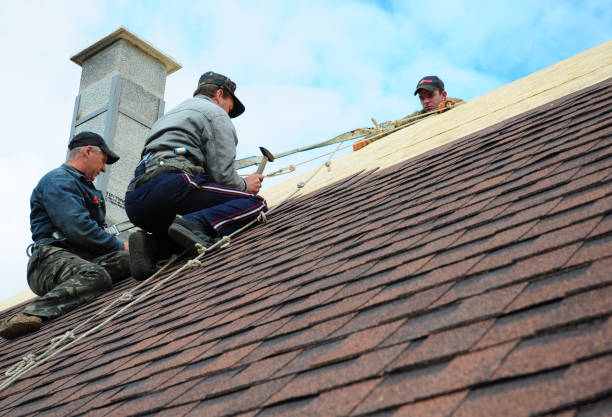Best Roof Gutter Cleaning  in Pryor Creek, OK